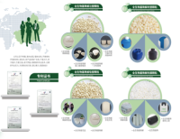 Green Biodegradable New Materials